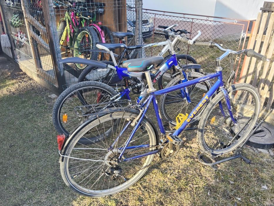 Bicicleta/biciclete bune de inchiriat pentru plimbari