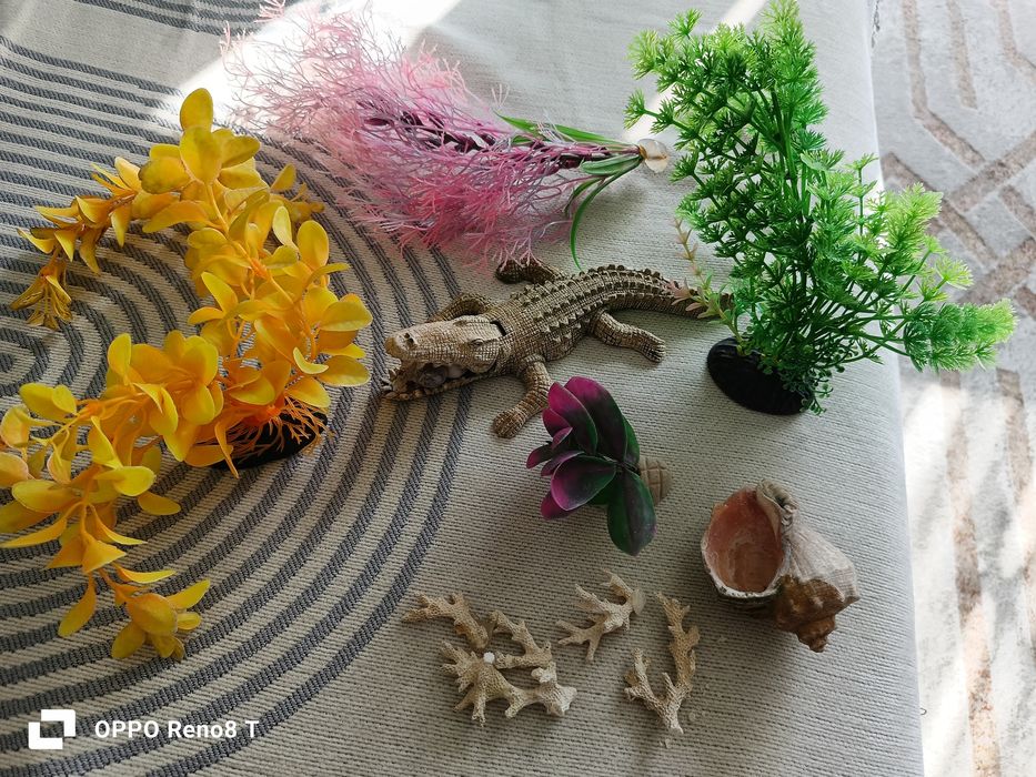 Всё для аквариума