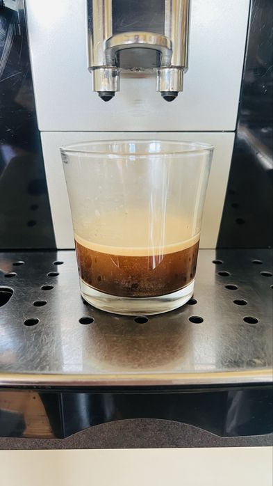 Delonghi Magnifica S