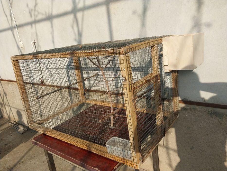 qafasi sotiladi 115 ga 70 sm