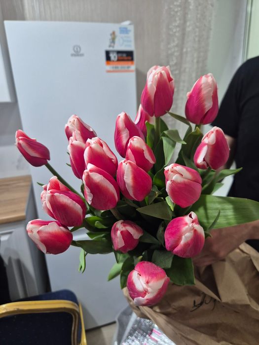 Тюльпаны местные