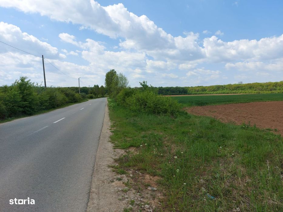 Scroviștea, Intravilan, 3,5 Ha – 75 Ml Front Stradal + 75 Ml La Pădure