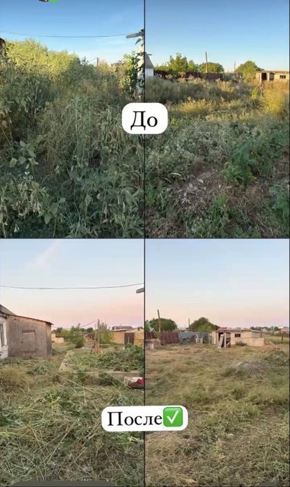 Шөп шабамыз 2 адам тез сапалы