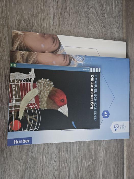Set manuale germana A1