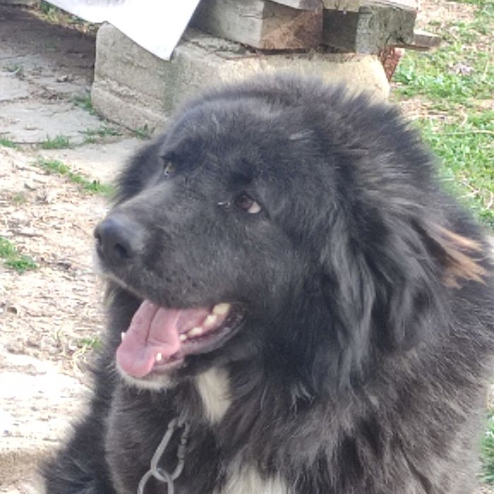 Продавам майка, баща и  син