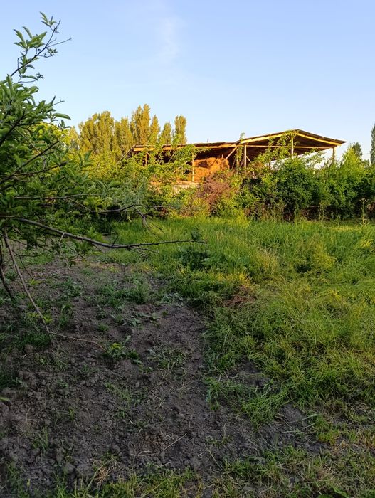 Pustoy uchastka sottiladi srochna 10 sottiq 50.000$