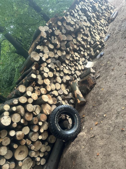 Raritura fag! Detalii la telefon!