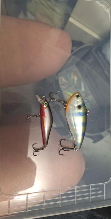 Voblere noi...rapala salmo yozuri