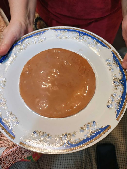 Kombucha starter si ciuperca cultura