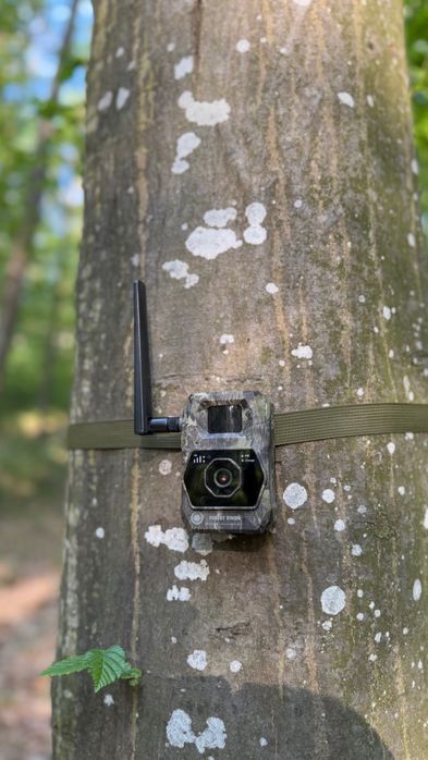 Camera vanatoare Forestvision live Alpha 4G cu GPS si transmitere libe