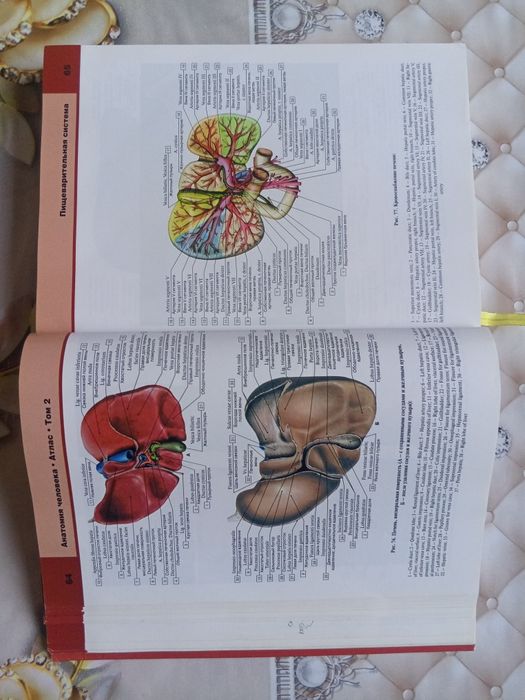 Atlas anatomiya sotiladi
