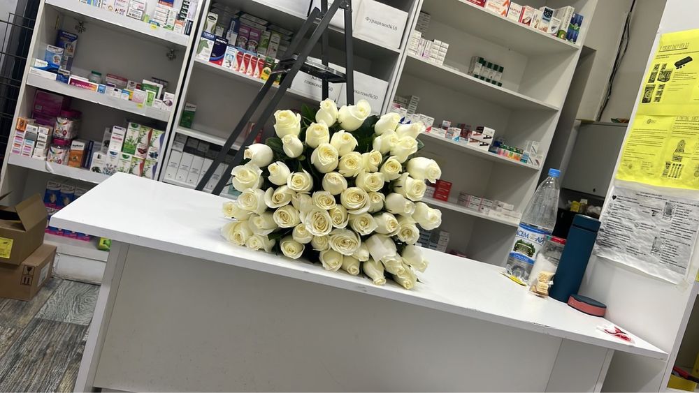 51 белые розы свежие