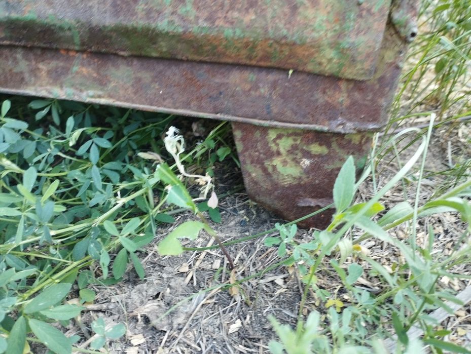 Продам верстак для сто