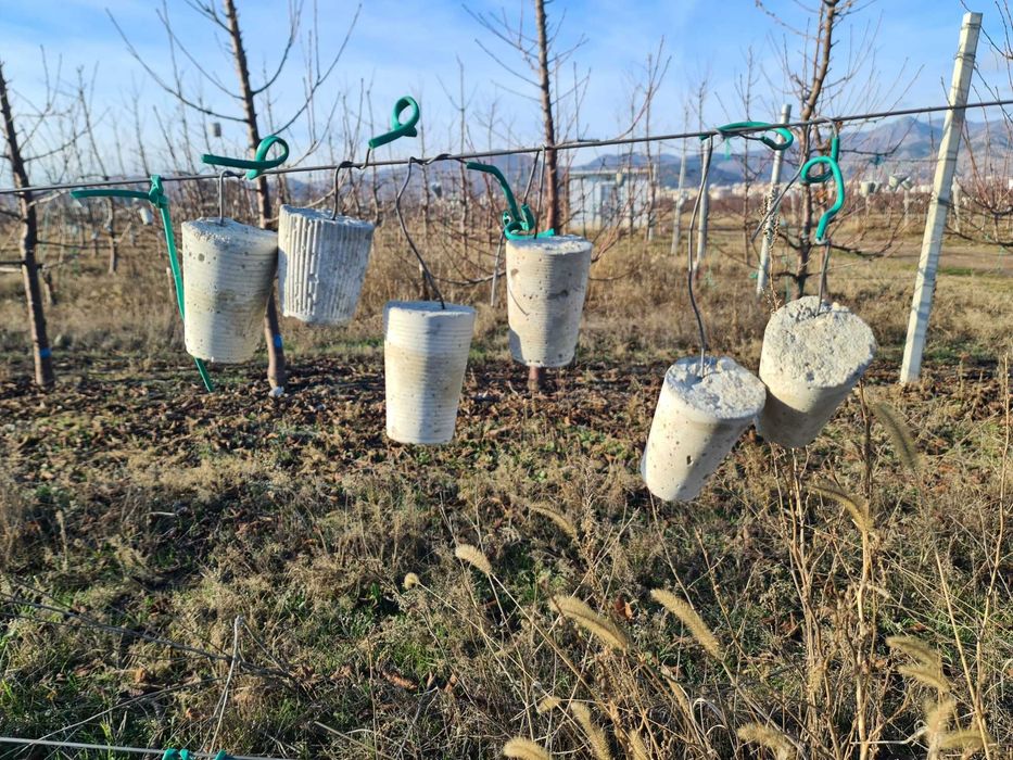 тежести за навеждане и формиране на клони на череши и сливи