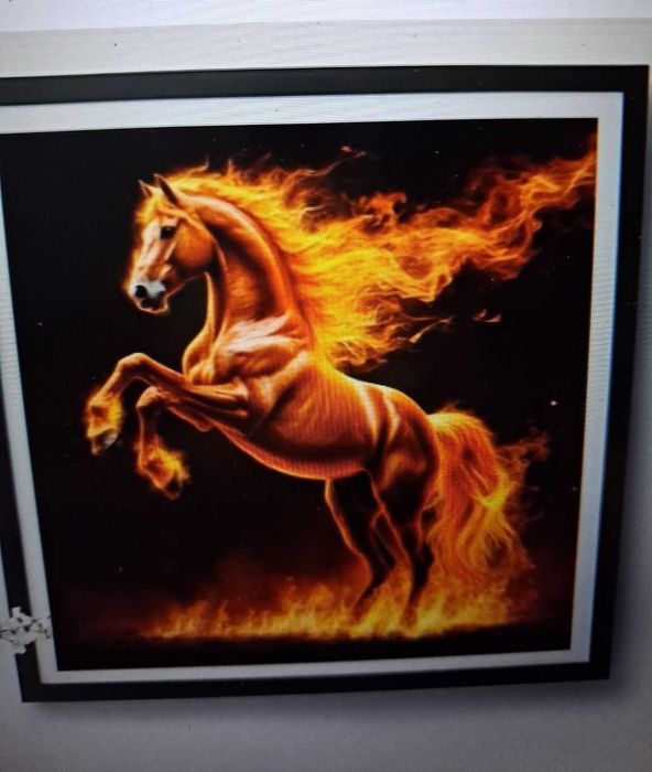 Годината на Огнения кон