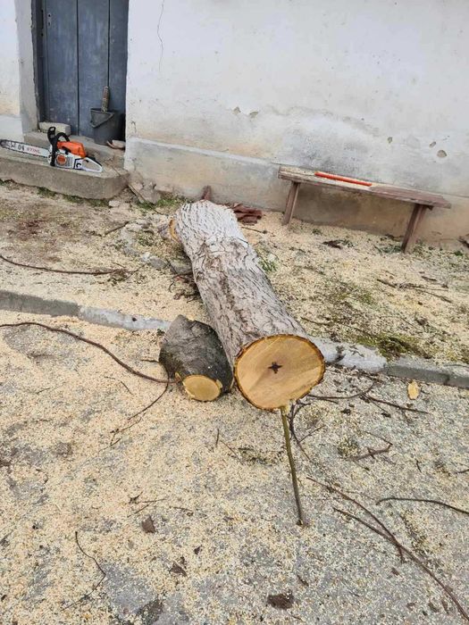 Продавам ствол от орех