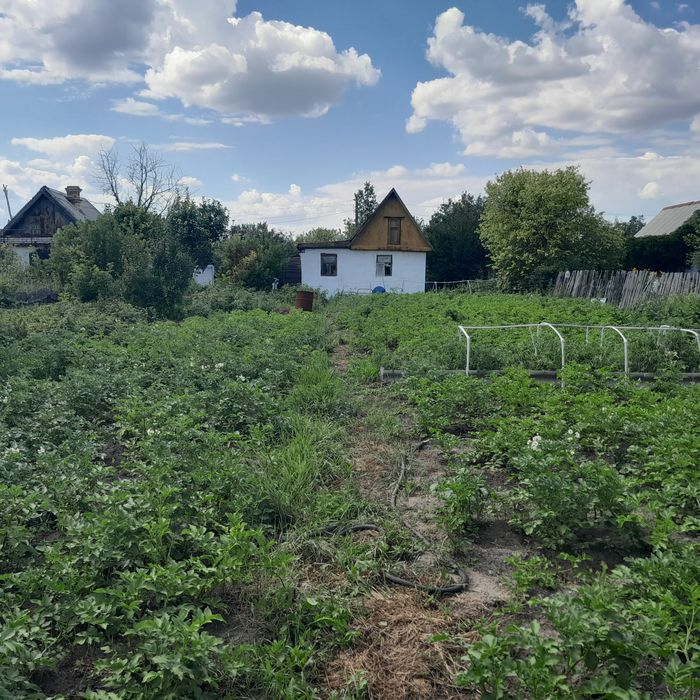 Продаётся дача в"Черёмушки "