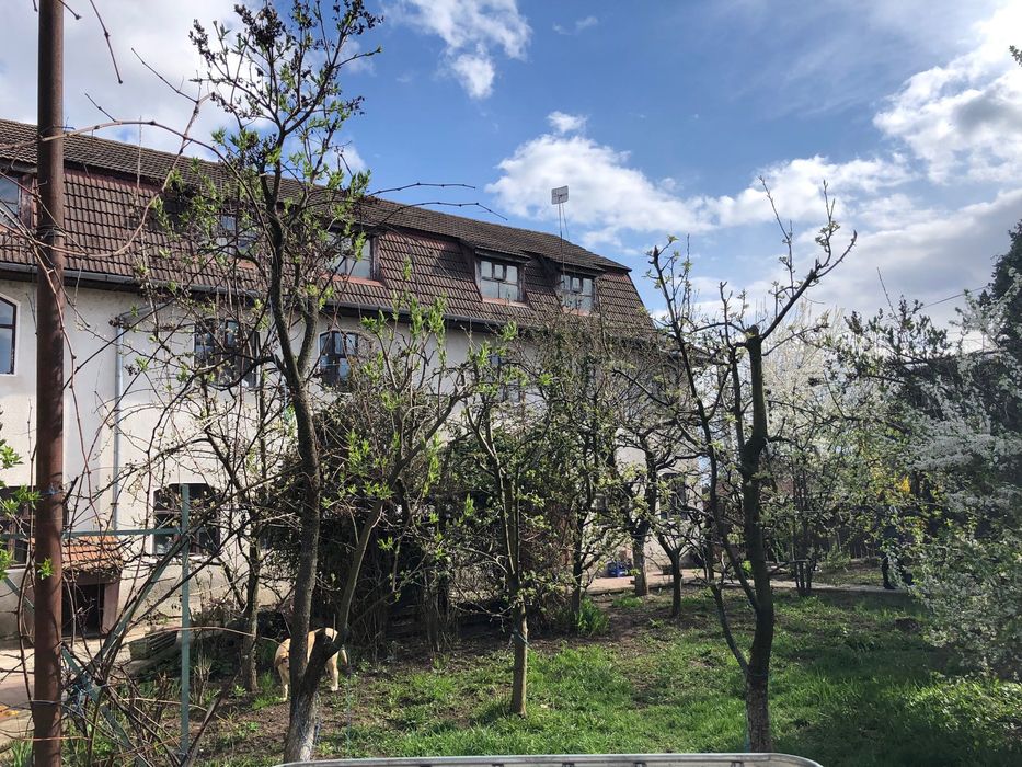 Piata Mare Comp. imobiliar, 1020 mp,  2 case spatiu comercial, atelier