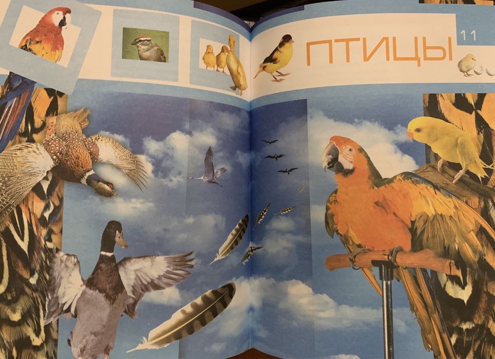 Детская энциклопедия Что?Зачем?Почему?