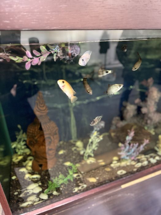 продам аквариум