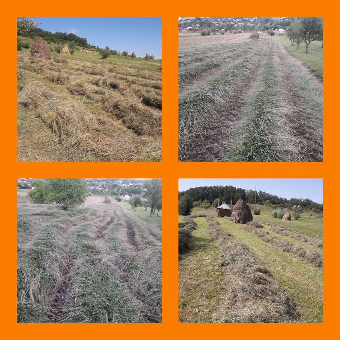 Baloti de ,fan ,otava ,lucerna