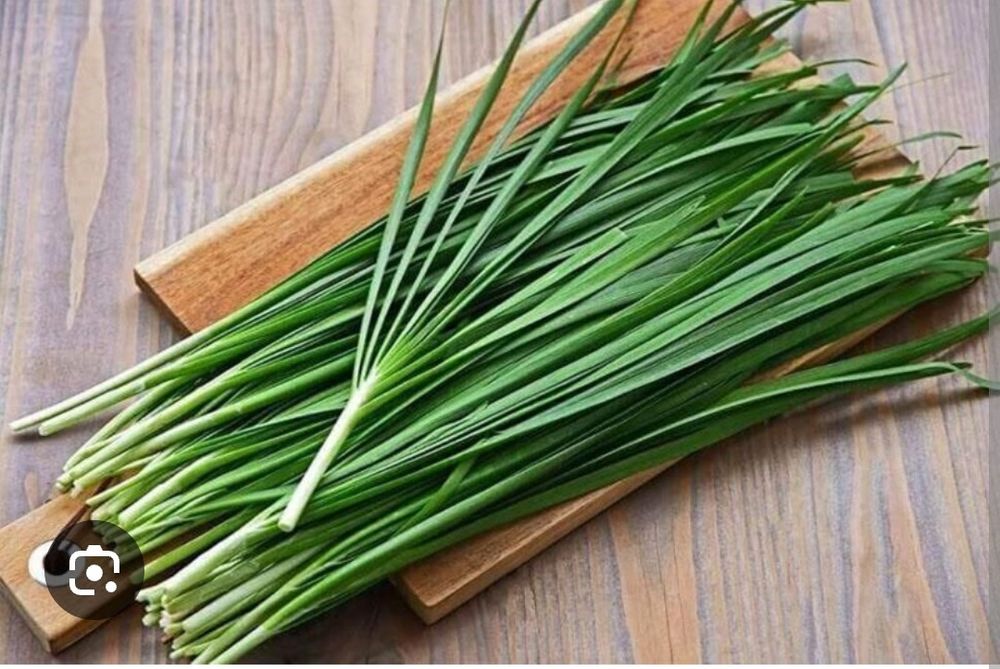 Продам джусай с огорода