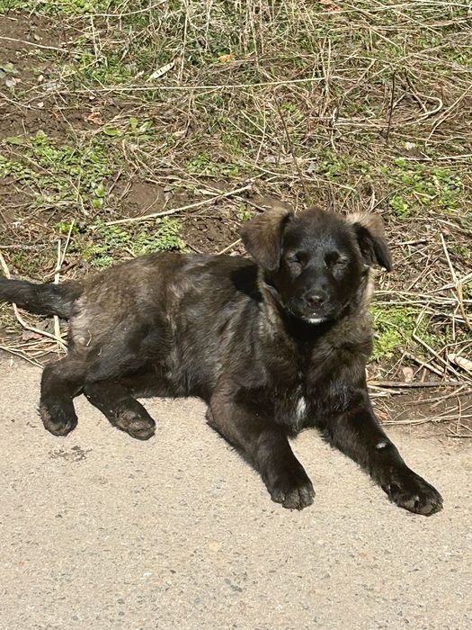 Девочки хотят ЖИТЬ!