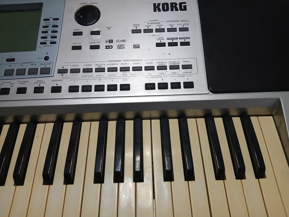 KORG pa 50 сатылады