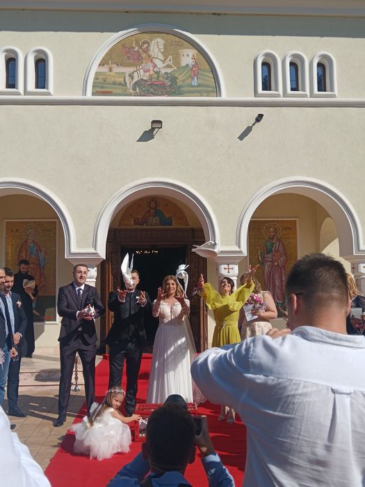 Porumbei albi pentru nunti Timișoara