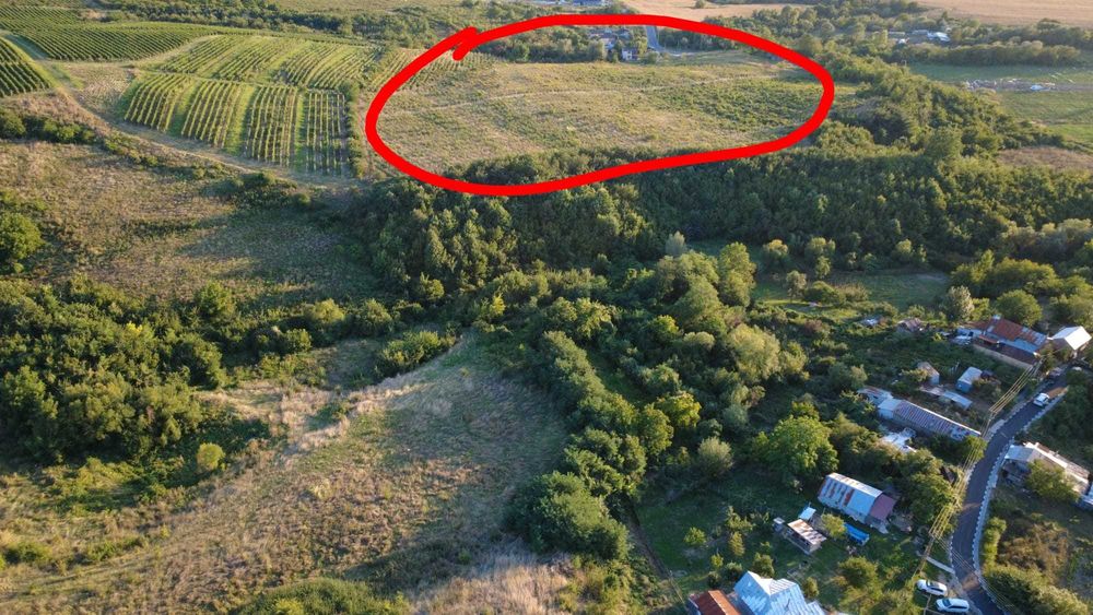 Vand teren,comuna Bucov, sat Chitorani, jud. Prahova, 5.62  ha.