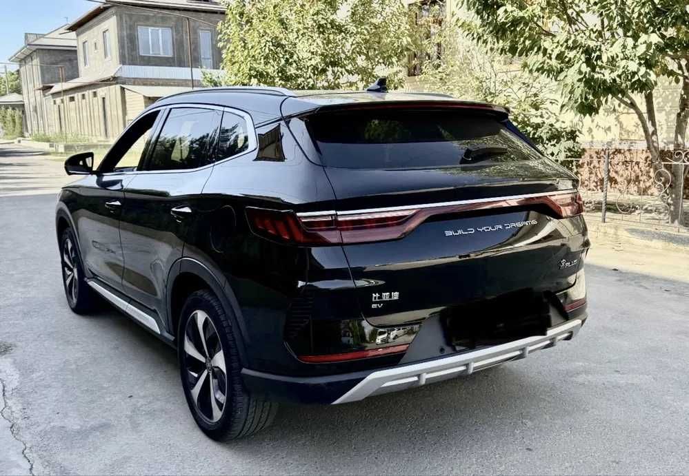 byd chempion pad zakaz