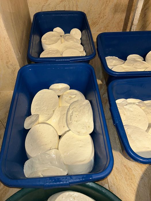Branza de vacă , produs natural și de calitate
