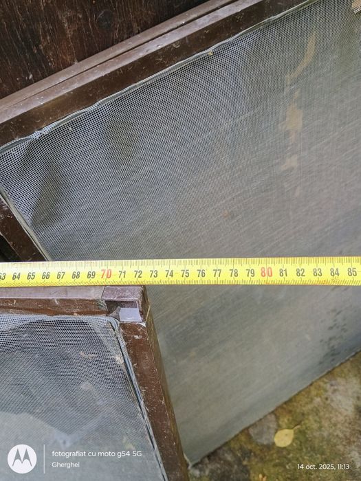 3 plase insecte culoare maro