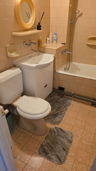 Regim hotelier (170 ron) Calea Aradului Apart 3 camere