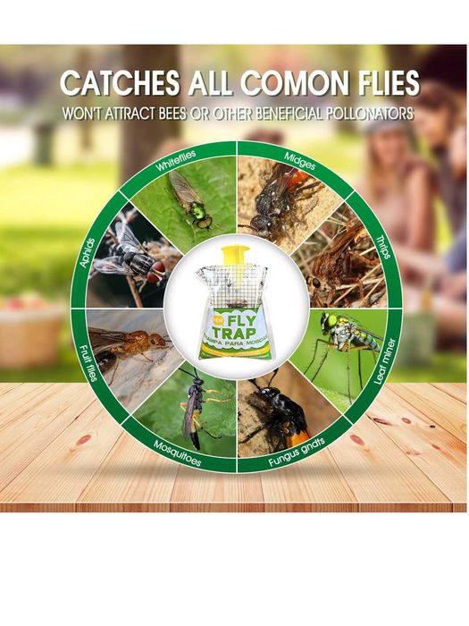 Ловушка для мух/ Pashsha tuzog'i