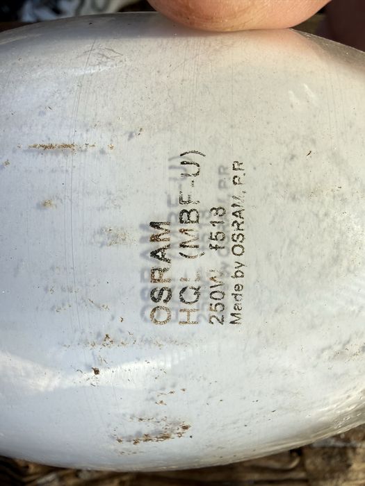 Продам Лампы Osram