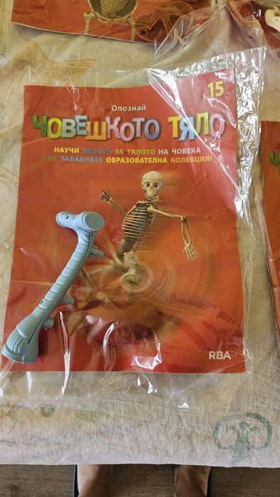 Опознай човешкото тяло