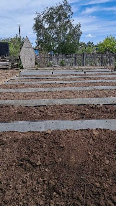 Дача в обществе Ромашка Сортировка