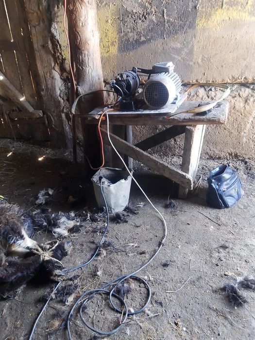 Қой Қырқу, ешкі қырқу. Бағасы келісімді.