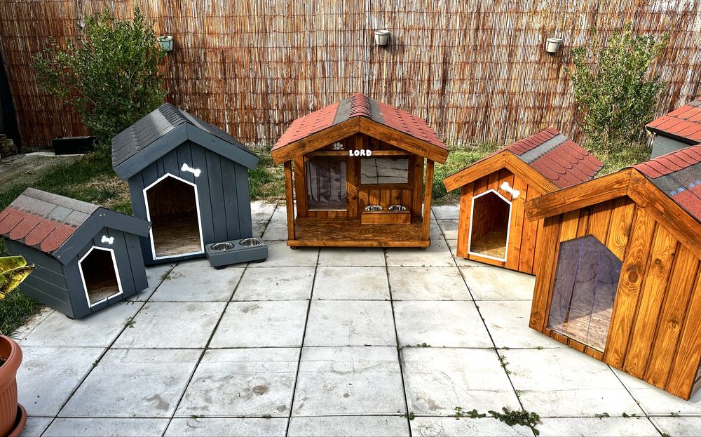 Cusca de caine izolata - calitate garantata