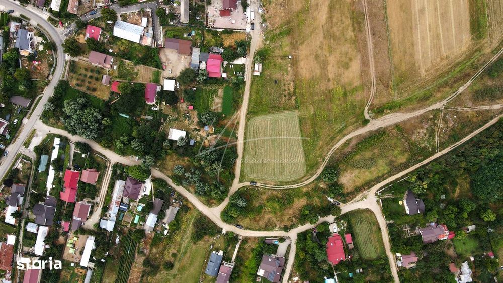 Teren intravilan la Teghes – pozitionare excelenta langa padure