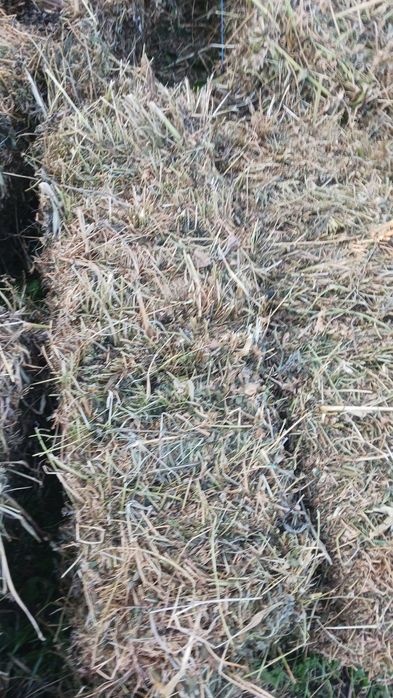 Baloti lucerna dreptunghiulari