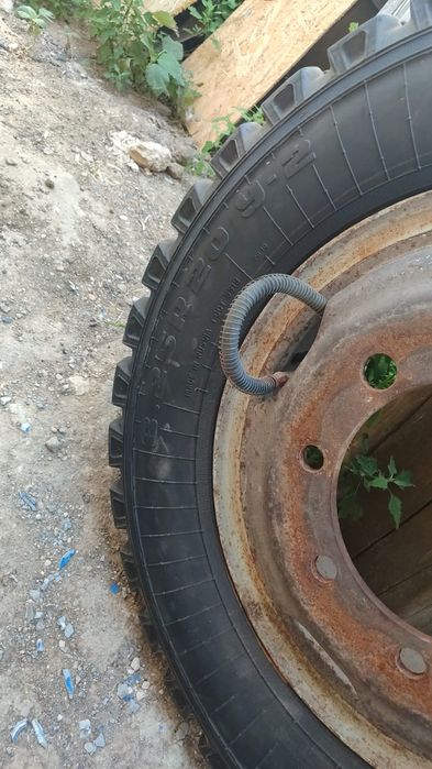 Продам шины Газ53
