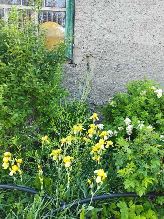 Продам дачу на Федоровке