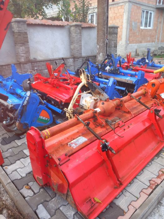 Freze de pământ japoneze aduse recent im țara