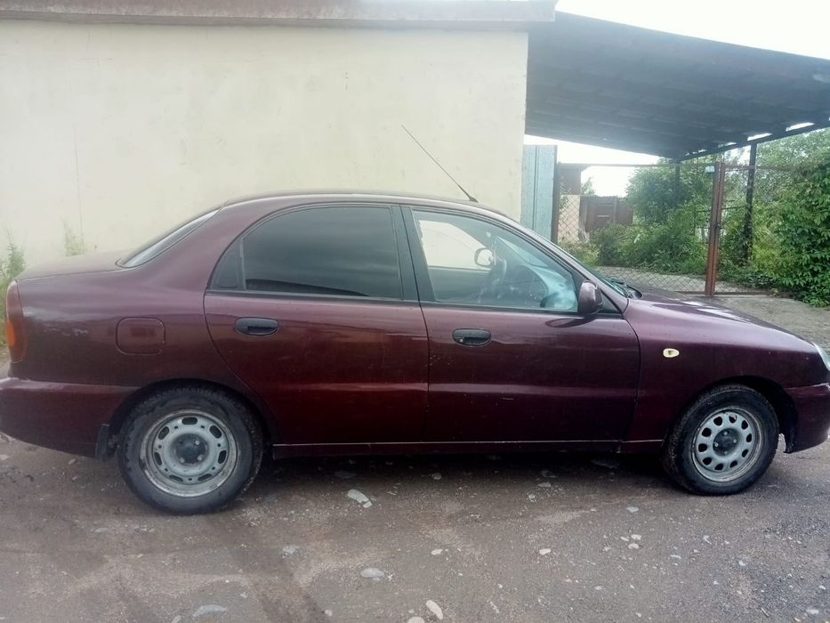 Шанс автомат 2013г