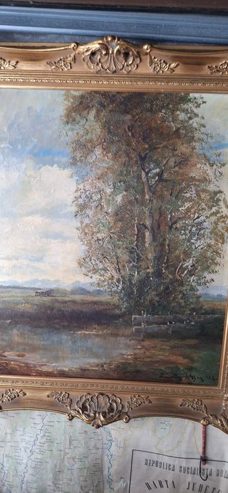 Tablou vechi pictura pana cu rama