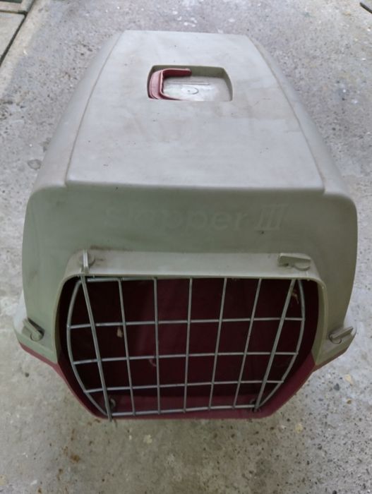 Cusca caini Skipper 3