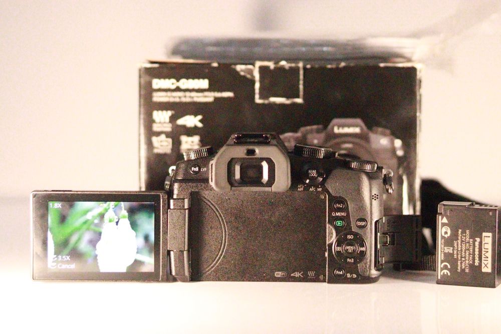 Panasonic g80. Mft 4/3, mirrorless