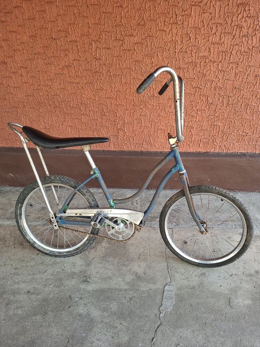 Pegas cu coarne inalte si sa lunga